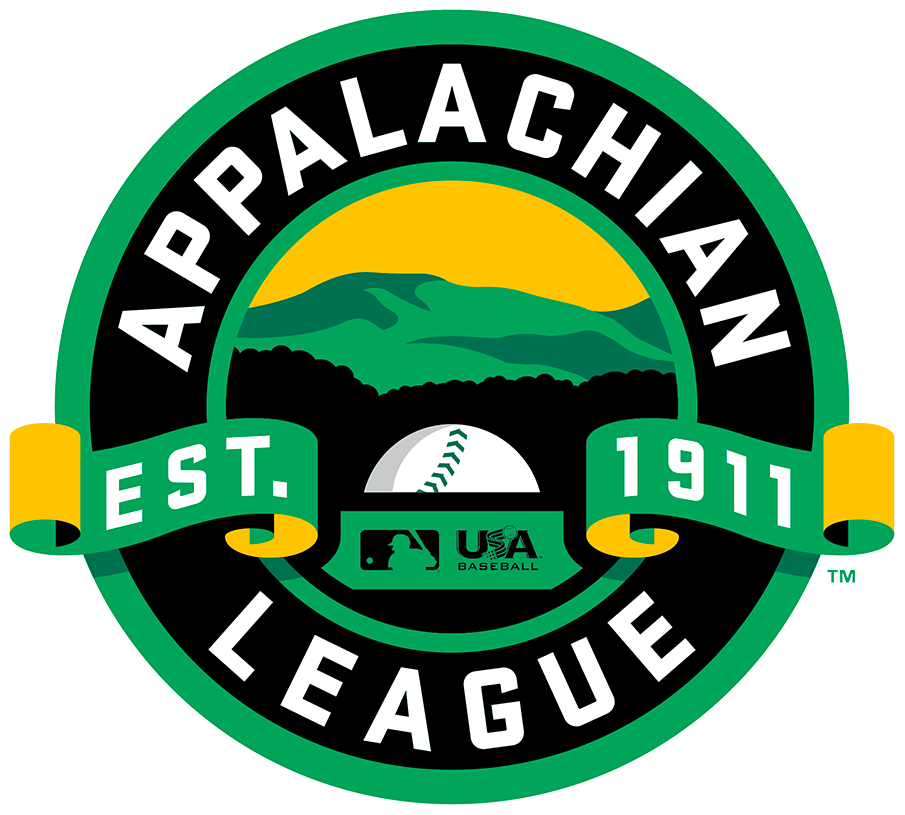 Appalachian League (AppL) iron ons